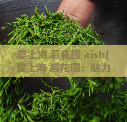 爱上海 后花园 aish(爱上海 后花园：魅力无限)