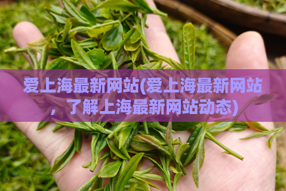 爱上海最新网站(爱上海最新网站，了解上海最新网站动态)