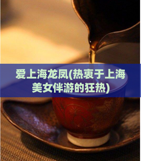 爱上海龙凤(热衷于上海美女伴游的狂热)