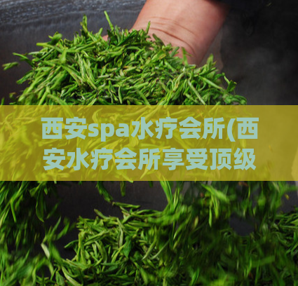 西安spa水疗会所(西安水疗会所享受顶级spa服务)
