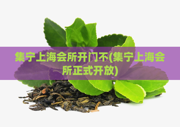 集宁上海会所开门不(集宁上海会所正式开放)