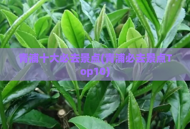 青浦十大必去景点(青浦必去景点Top10)