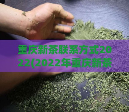 重庆新茶联系方式2022(2022年重庆新茶联系电话)