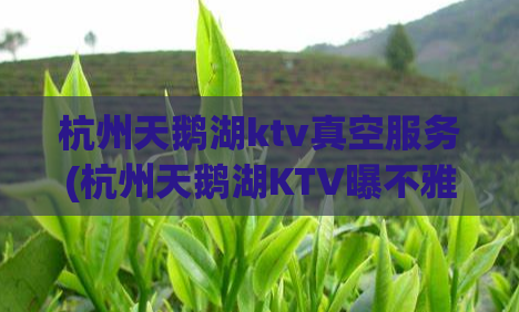杭州天鹅湖ktv真空服务(杭州天鹅湖KTV曝不雅视频)