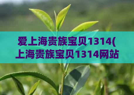 爱上海贵族宝贝1314(上海贵族宝贝1314网站让你沉醉其中)
