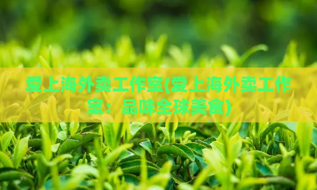 爱上海外卖工作室(爱上海外卖工作室：品味全球美食)