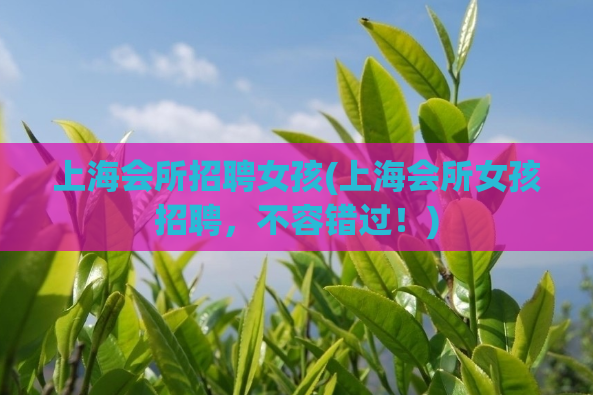 上海会所招聘女孩(上海会所女孩招聘，不容错过！)