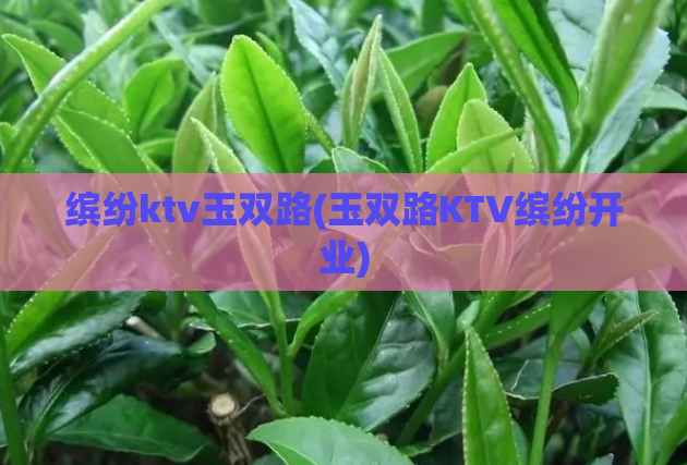 缤纷ktv玉双路(玉双路KTV缤纷开业)