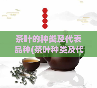茶叶的种类及代表品种(茶叶种类及代表品种一览)