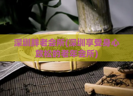 深圳胖老会所(深圳享受身心放松的老年会所)
