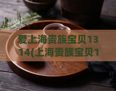 爱上海贵族宝贝1314(上海贵族宝贝1314网站让你沉醉其中)