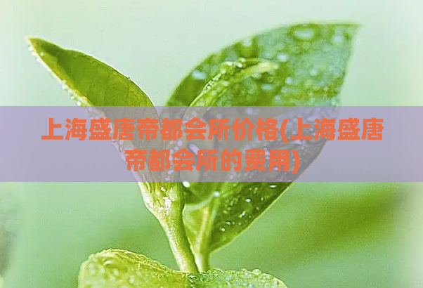 上海盛唐帝都会所价格(上海盛唐帝都会所的费用)