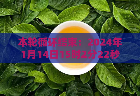 本轮循环结束：2024年1月14日15时2分22秒