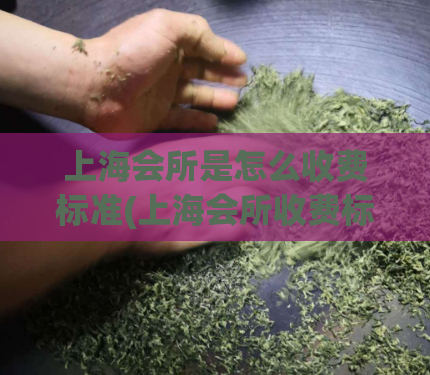 上海会所是怎么收费标准(上海会所收费标准解析)