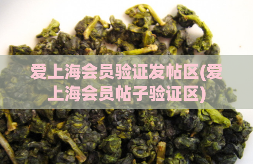 爱上海会员验证发帖区(爱上海会员帖子验证区)