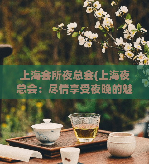 上海会所夜总会(上海夜总会：尽情享受夜晚的魅力)