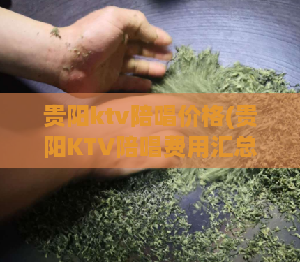 贵阳ktv陪唱价格(贵阳KTV陪唱费用汇总)