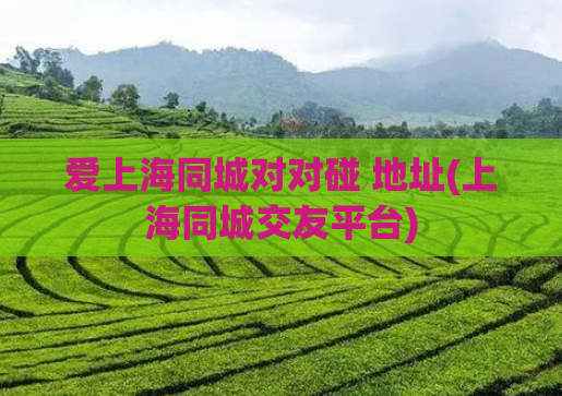 爱上海同城对对碰 地址(上海同城交友平台)