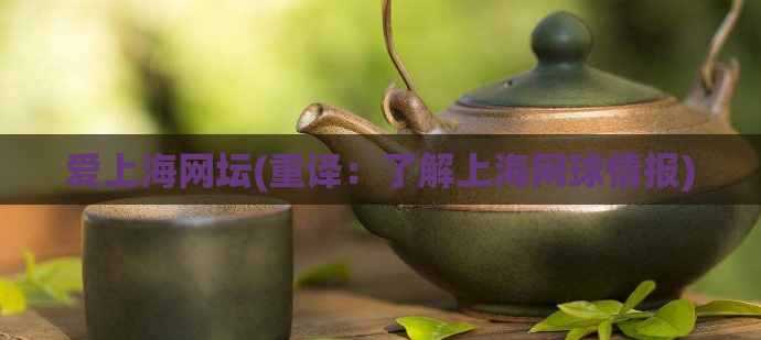 爱上海网坛(重译:了解上海网球情报)