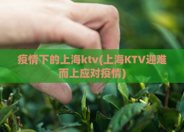 疫情下的上海ktv(上海KTV迎难而上应对疫情)