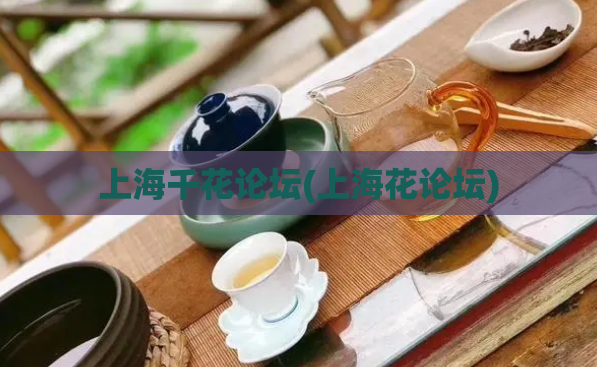 上海千花论坛(上海花论坛)