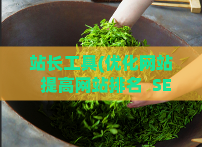 站长工具(优化网站  提高网站排名  SEO优化  SEO技巧)