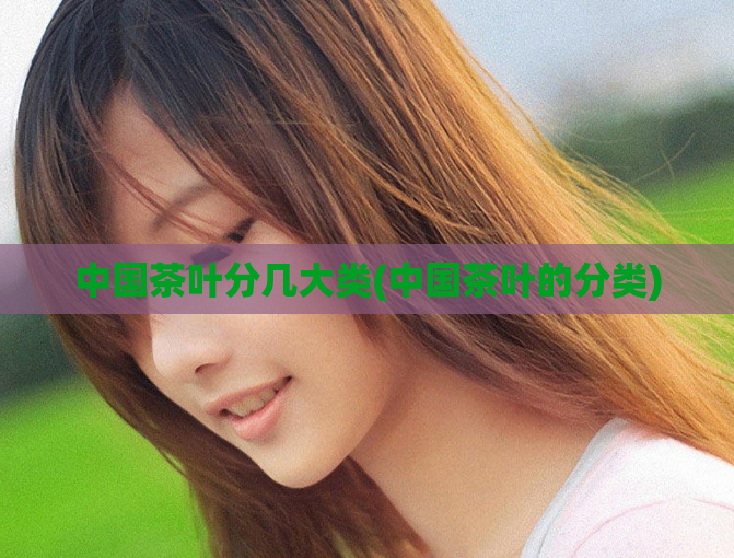 中国茶叶分几大类(中国茶叶的分类)