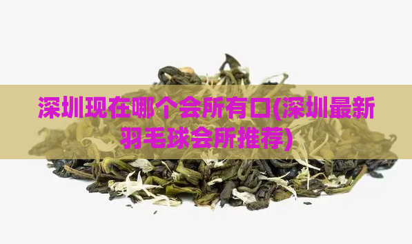 深圳现在哪个会所有口(深圳最新羽毛球会所推荐)