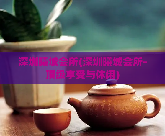 深圳曦城会所(深圳曦城会所-顶级享受与休闲)