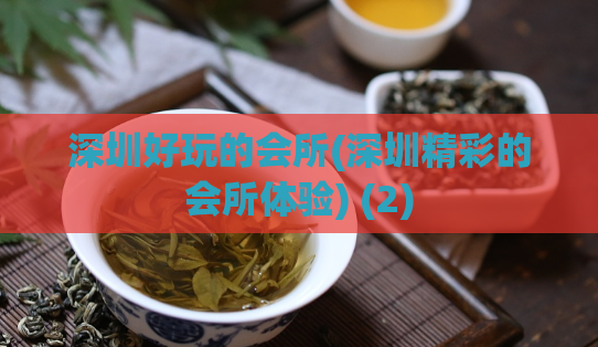 深圳好玩的会所(深圳精彩的会所体验) (2)