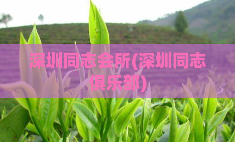 深圳同志会所(深圳同志俱乐部)