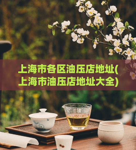 上海市各区油压店地址(上海市油压店地址大全)