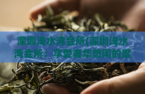 深圳浅水湾会所(深圳浅水湾会所：享受奢华悠闲的度假胜地)
