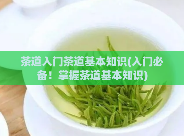 茶道入门茶道基本知识(入门必备!掌握茶道基本知识)