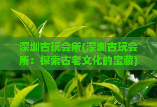 深圳古玩会所(深圳古玩会所：探索古老文化的宝藏) (2)