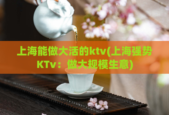 上海能做大活的ktv(上海强势KTv：做大规模生意)
