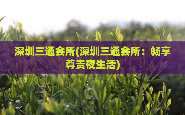 深圳三通会所(深圳三通会所：畅享尊贵夜生活)