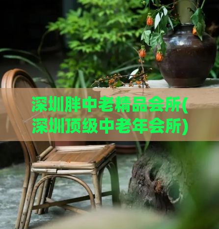 深圳胖中老精品会所(深圳顶级中老年会所)