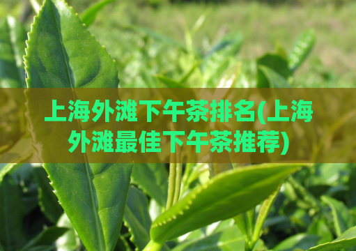 上海外滩下午茶排名(上海外滩最佳下午茶推荐)