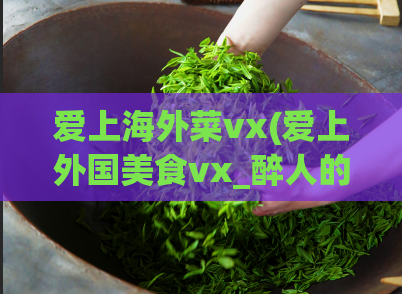 爱上海外菜vx(爱上外国美食vx_醉人的异国风情)