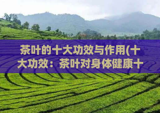 茶叶的十大功效与作用(十大功效:茶叶对身体健康十分有益)