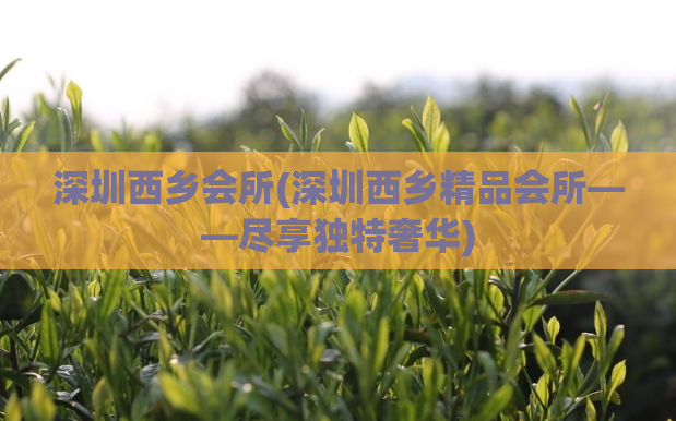 深圳西乡会所(深圳西乡精品会所——尽享独特奢华)