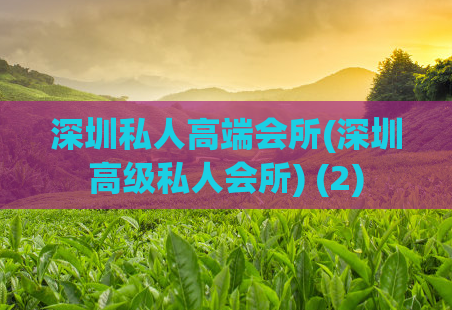 深圳私人高端会所(深圳高级私人会所) (2)