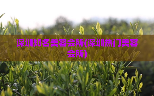 深圳知名美容会所(深圳热门美容会所)