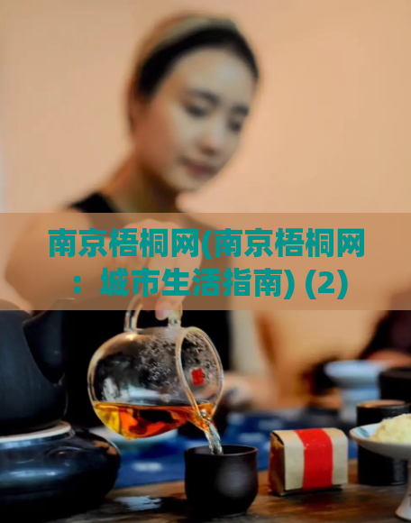 南京梧桐网(南京梧桐网：城市生活指南) (2)