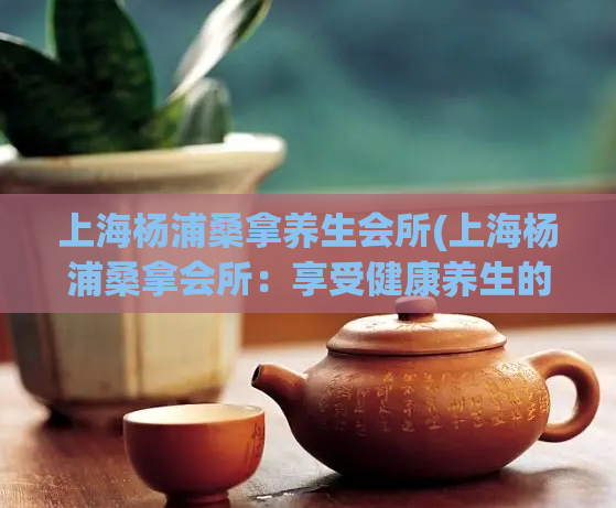 上海杨浦桑拿养生会所(上海杨浦桑拿会所：享受健康养生的最佳去处)