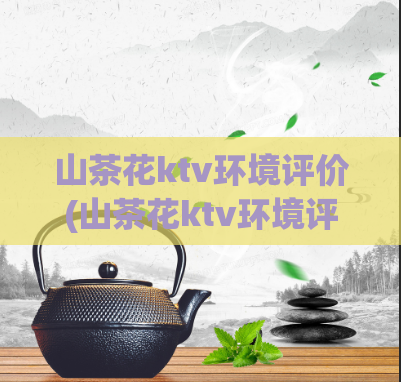 山茶花ktv环境评价(山茶花ktv环境评价)
