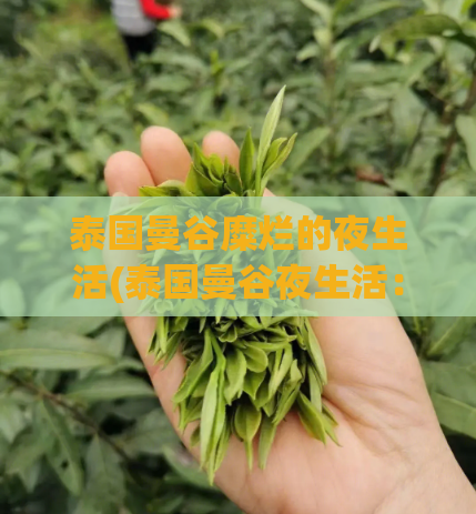 泰国曼谷糜烂的夜生活(泰国曼谷夜生活：魅力四溢的纵情之都)