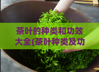 茶叶的种类和功效大全(茶叶种类及功效一览，健康生活必备！)