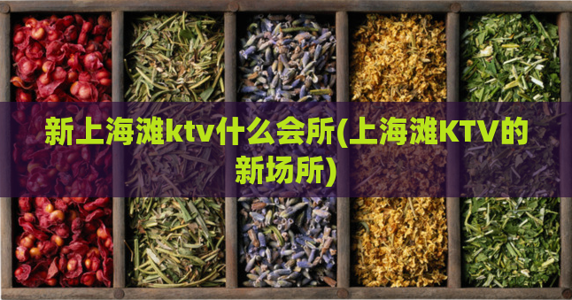 新上海滩ktv什么会所(上海滩KTV的新场所)
